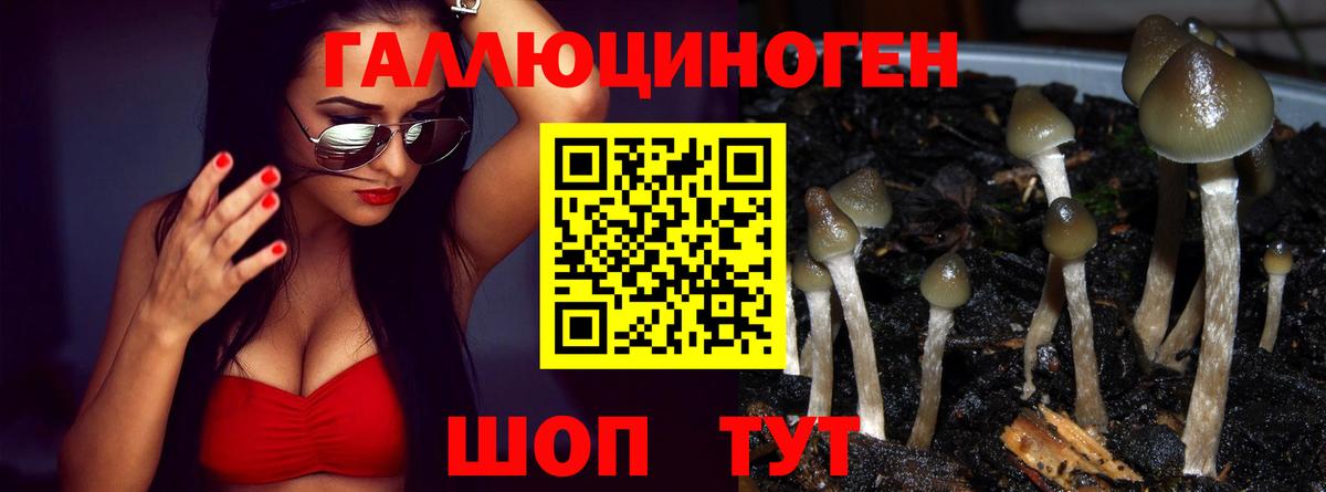 Галлюциногенные грибы GOLDEN TEACHER Сертолово